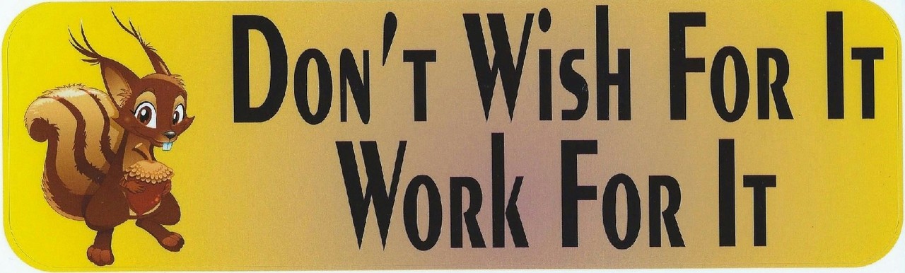 10〃x3〃 don"t wish for it work for it bumper sticker decal