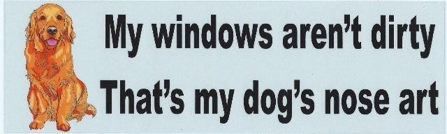 10in x 3in Windows arent dirty dog nose art Bumper Stickers Decals Sticker Decal