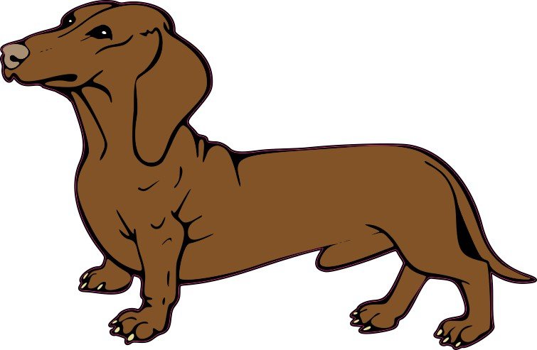 Dachshund decal hot sale car stickers