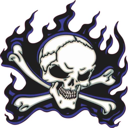 blue flame skull bumper sticker