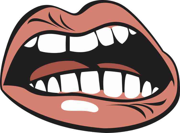 5in X 3.75in Angry Mouth Bumper Sticker Vinyl Truck Window Stickers Car