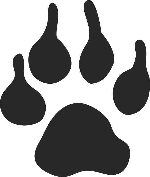 paw print window decals for cars