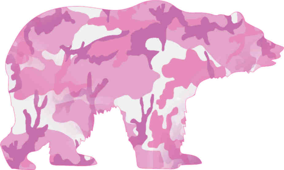 pink camo teddy bear