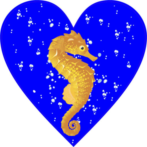 Blue Seahorse Heart bumper sticker