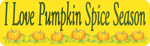 I Love Pumpkin Spice Season Bumper Sticker