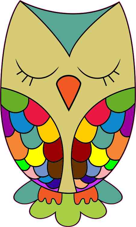 Rainbow Owl