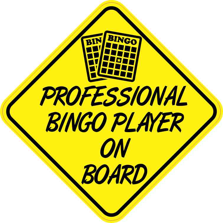 Professional bingo software