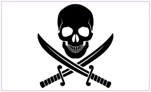 5in x 3in White Background Jolly Roger Magnet