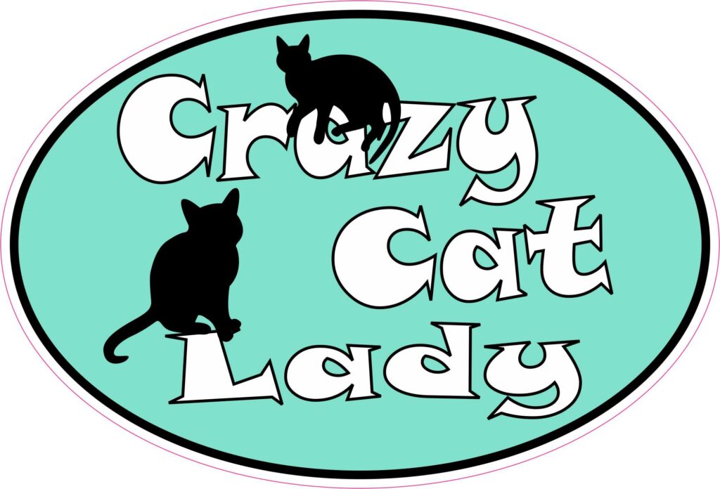 StickerTalk Oval Crazy Cat Lady Vinyl Sticker, 7 inches x 4.5 inches