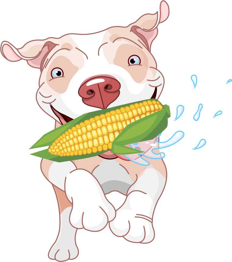 Hip Hip Hooray for National Corn Dog Day!