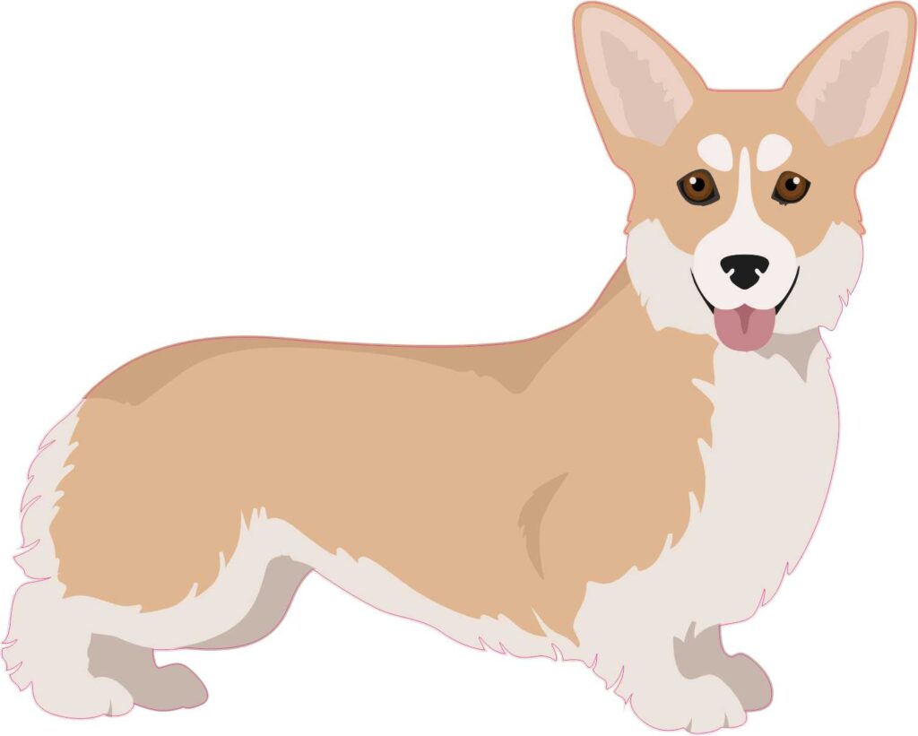 Stickertalk Right Facing Fawn And White Corgi Vinyl Sticker, 5 Inches X 