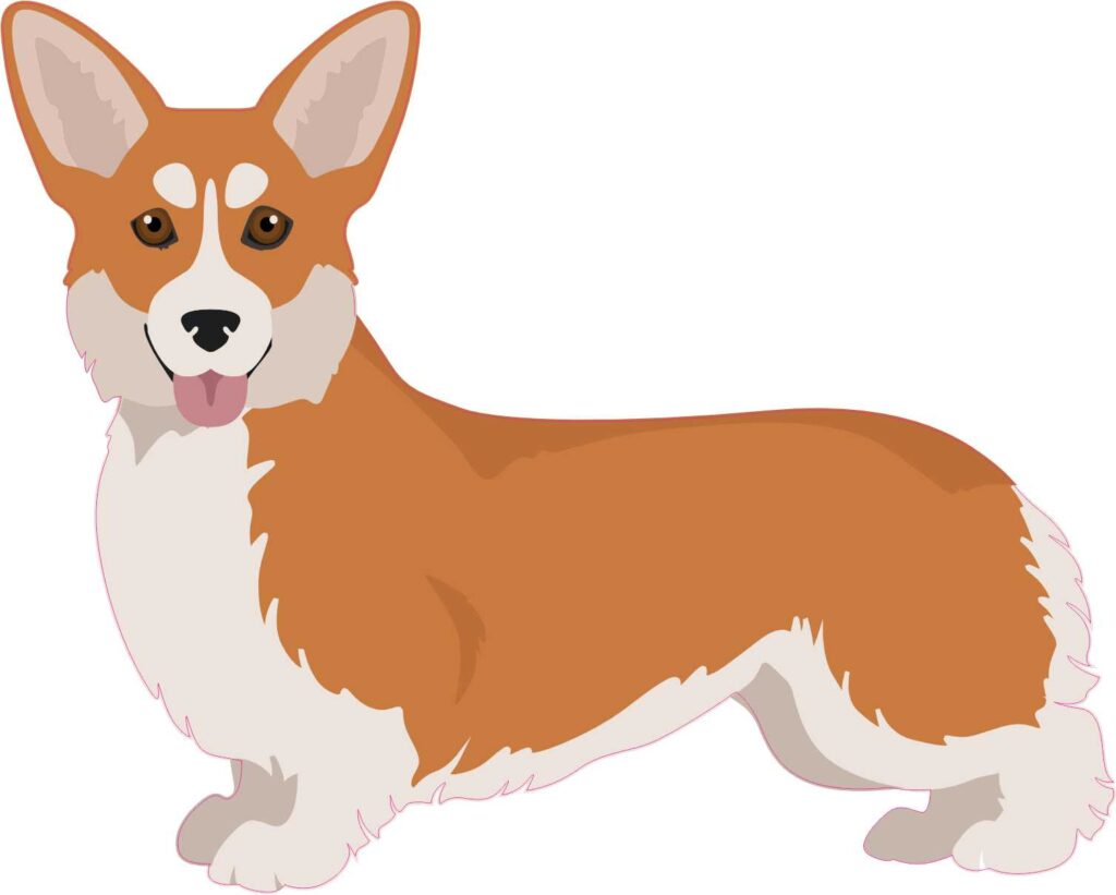 StickerTalk Left Facing Red and White Corgi Vinyl Sticker, 5 inches x 4 ...