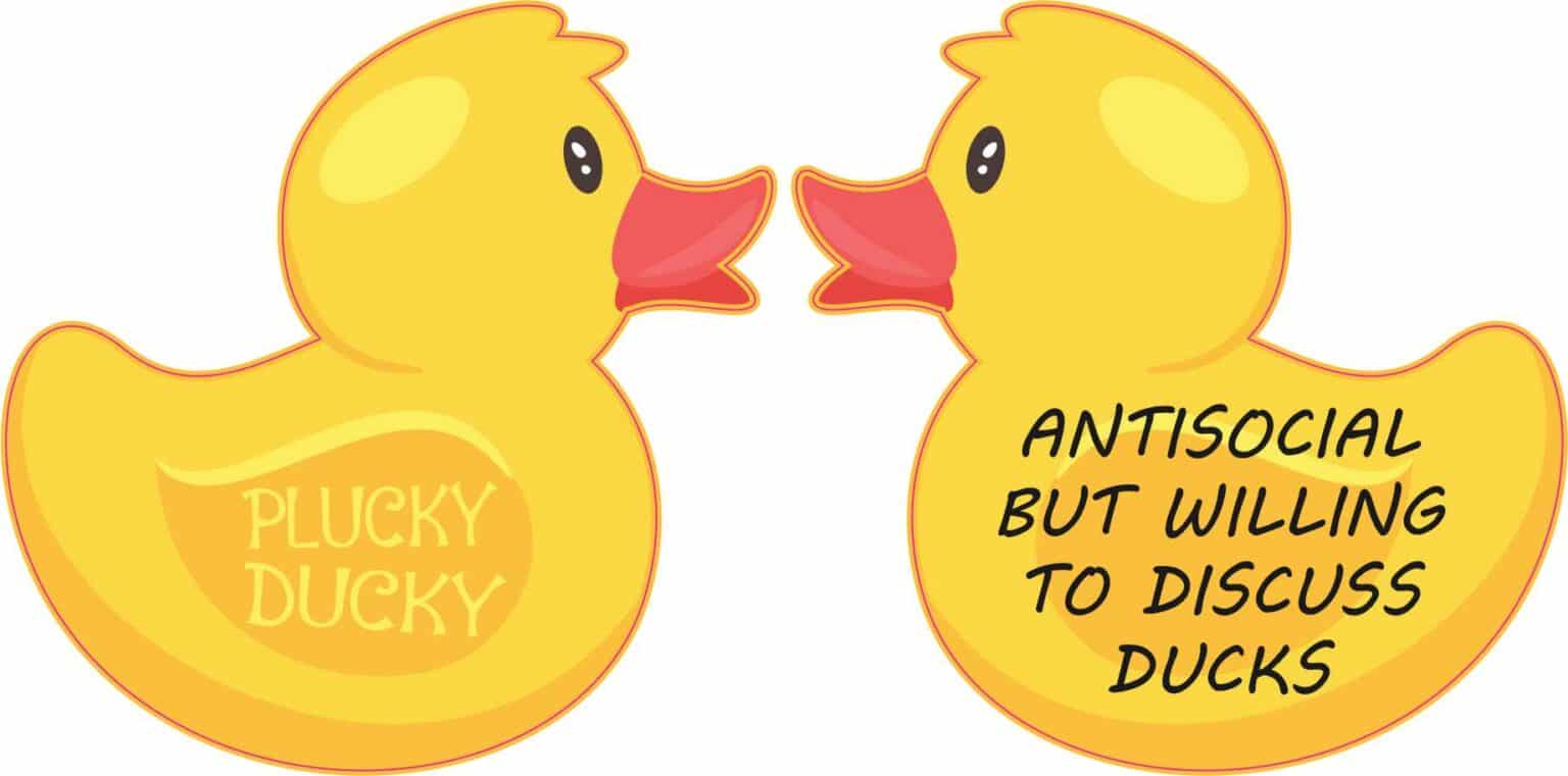 Stickertalk Funny Rubber Duck Vinyl Stickers 1 Sheet Of 2 Stickers 3 Inches X 3 Inches Each 