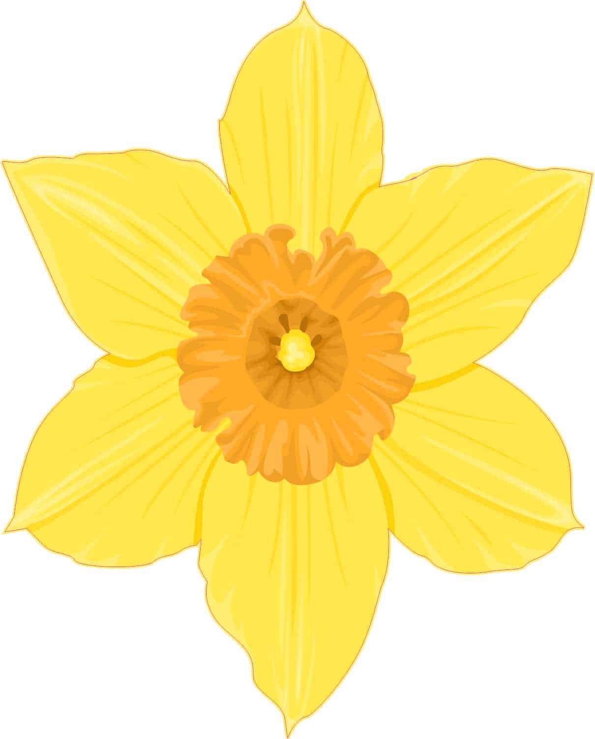 StickerTalk Daffodil Vinyl Sticker, 4 inches x 5 inches