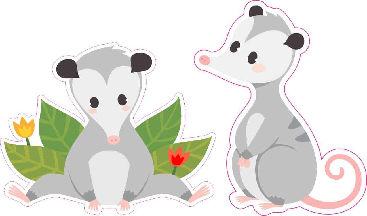 Stickertalk Opossum Vinyl Stickers 25 Inches X 2 Inches 