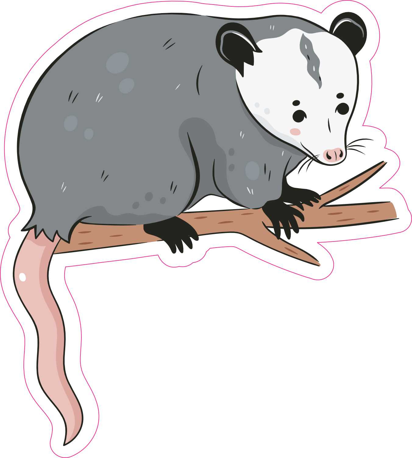 Stickertalk Opossum Vinyl Stickers 45 Inches X 5 Inches 
