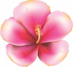 Hibiscus Sticker